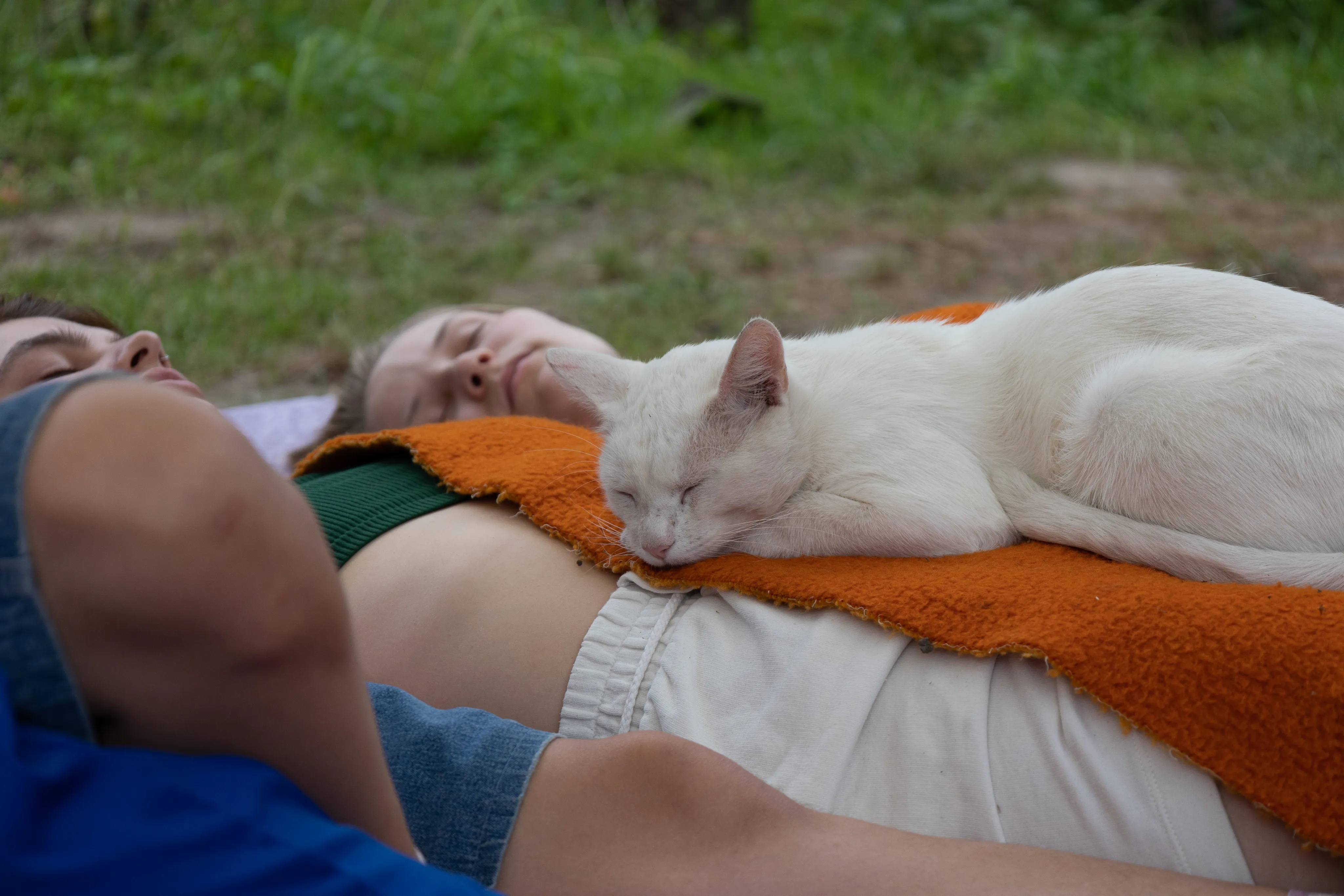 Zwei Menschen liegen schlafend auf der Wiese. Auf der einen Person schläft eine weiße Katze.